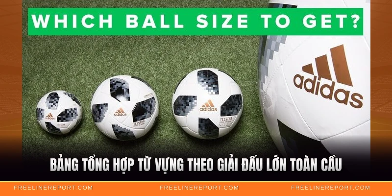 Thuật Ngữ Bóng Đá - Từ Điển Hoàn Chỉnh Cho Tín Đồ 2026 4 Bảng tổng hợp từ vựng theo giải đấu lớn toàn cầu