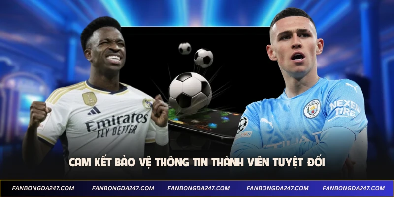 Quyền lợi thành viên khi tuân thủ quy định rõ ràng