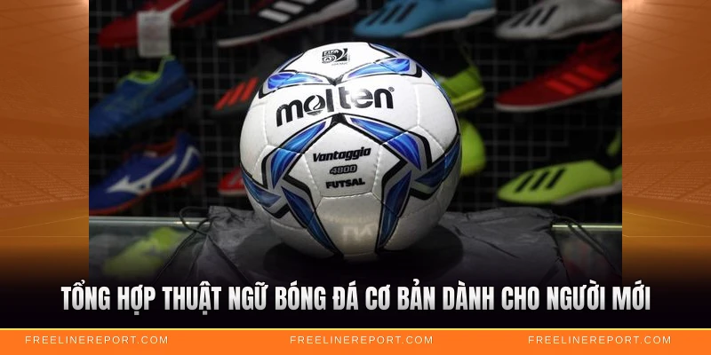 Thuật Ngữ Bóng Đá - Từ Điển Hoàn Chỉnh Cho Tín Đồ 2026 2 Tổng hợp thuật ngữ bóng đá cơ bản dành cho người mới