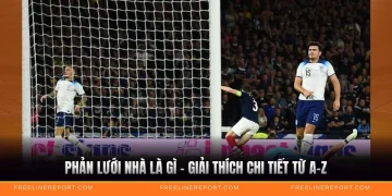 Phản Lưới Nhà Là Gì - Giải Thích Chi Tiết Từ A-Z