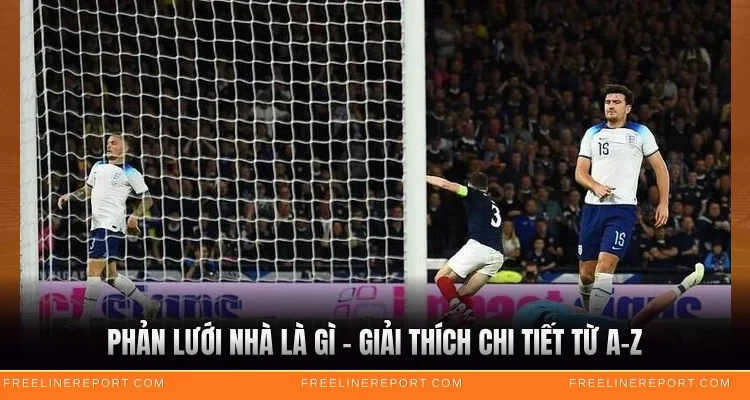 Phản Lưới Nhà Là Gì - Giải Thích Chi Tiết Từ A-Z 1 Phản Lưới Nhà Là Gì - Giải Thích Chi Tiết Từ A-Z