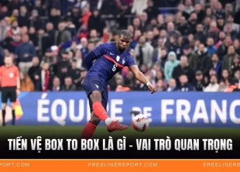 Tiền Vệ Box To Box Là Gì - Vai Trò Quan Trọng