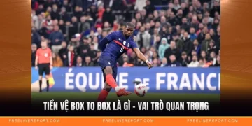 Tiền Vệ Box To Box Là Gì - Vai Trò Quan Trọng