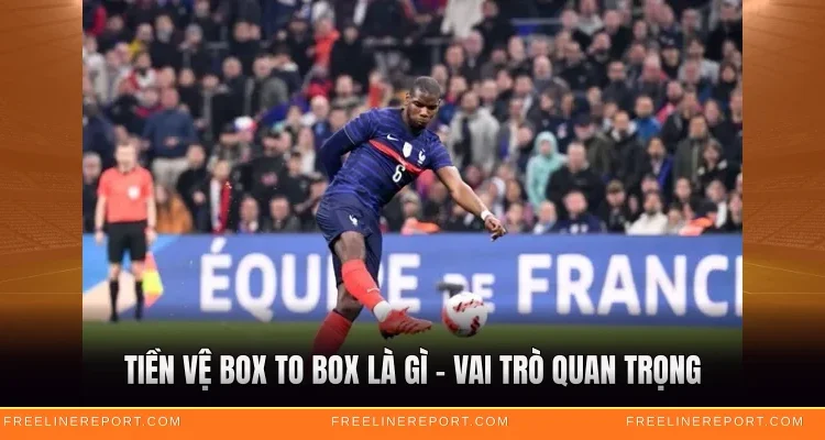 Tiền Vệ Box To Box Là Gì - Vai Trò Quan Trọng